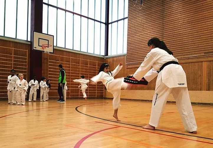 Taekwondo